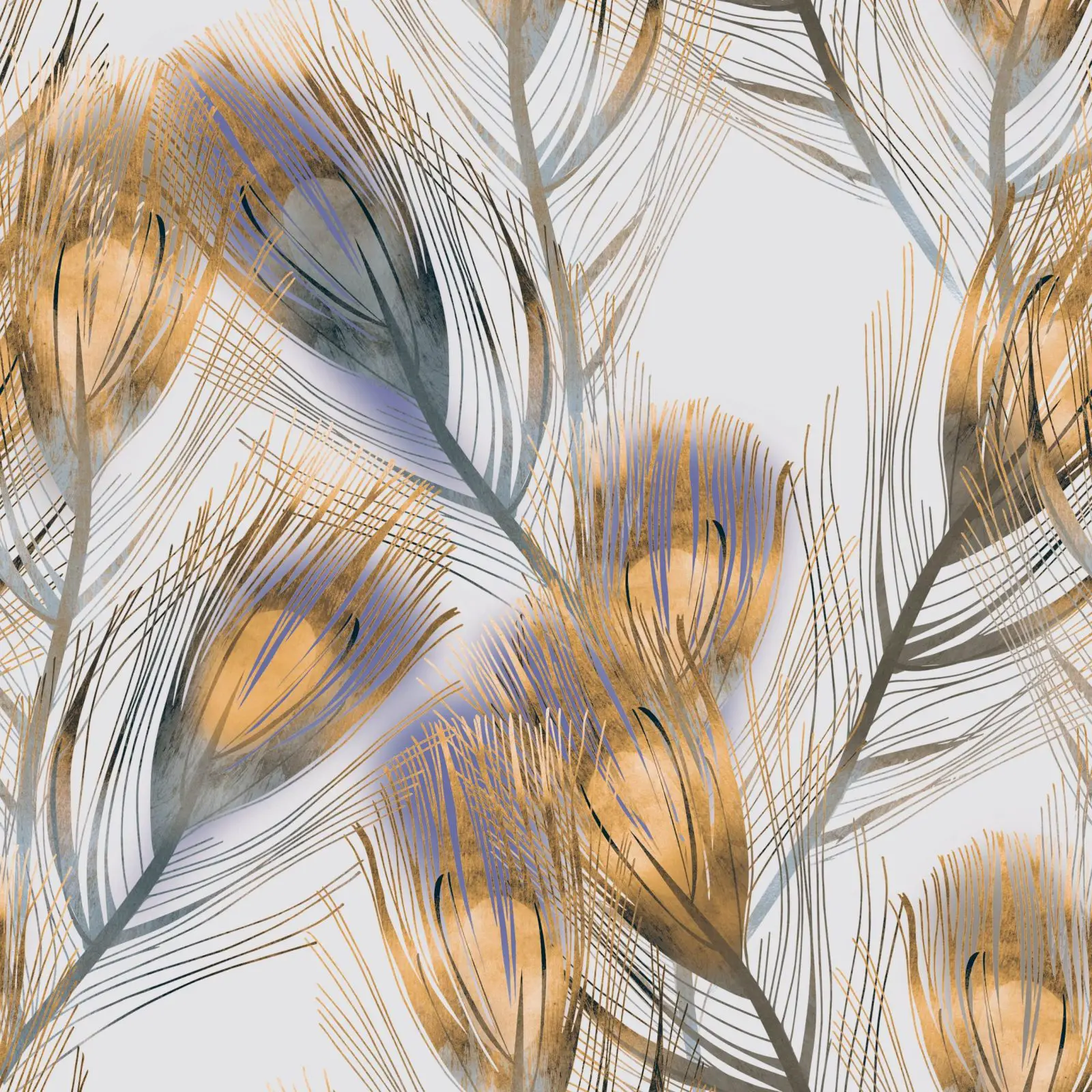 feathers illustration aalofts design scaled