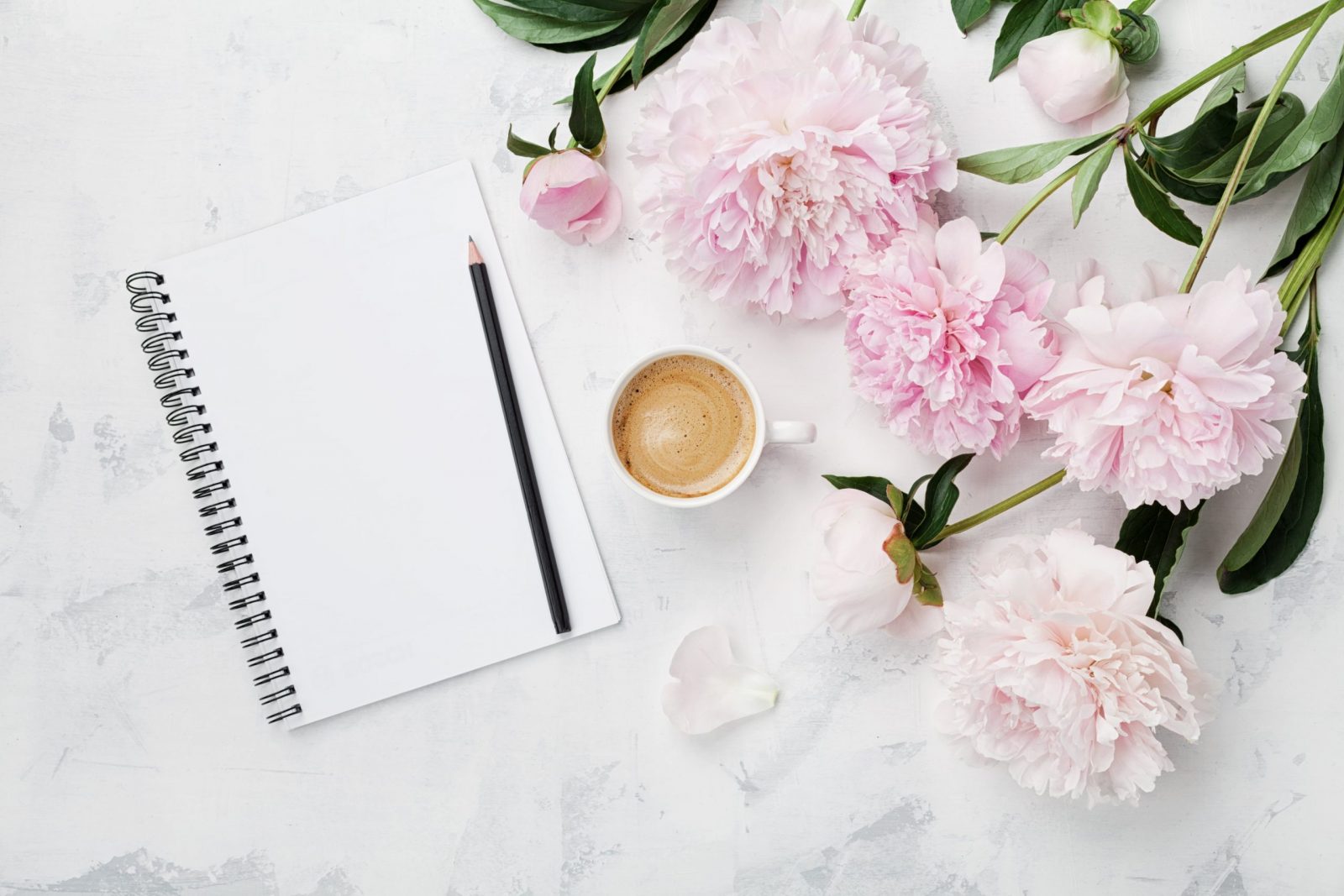 aalofts-design-graphics-fashion-interiors-blog 81-min luxury floral desktop aalofts design scaled